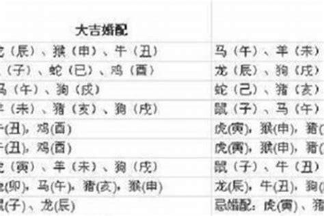 1997生肖|1997年属牛的最佳配偶 97年属牛的和什么属相最配